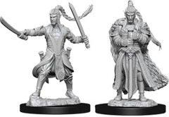Elf Paladin Male (Nolzur's - W09)
